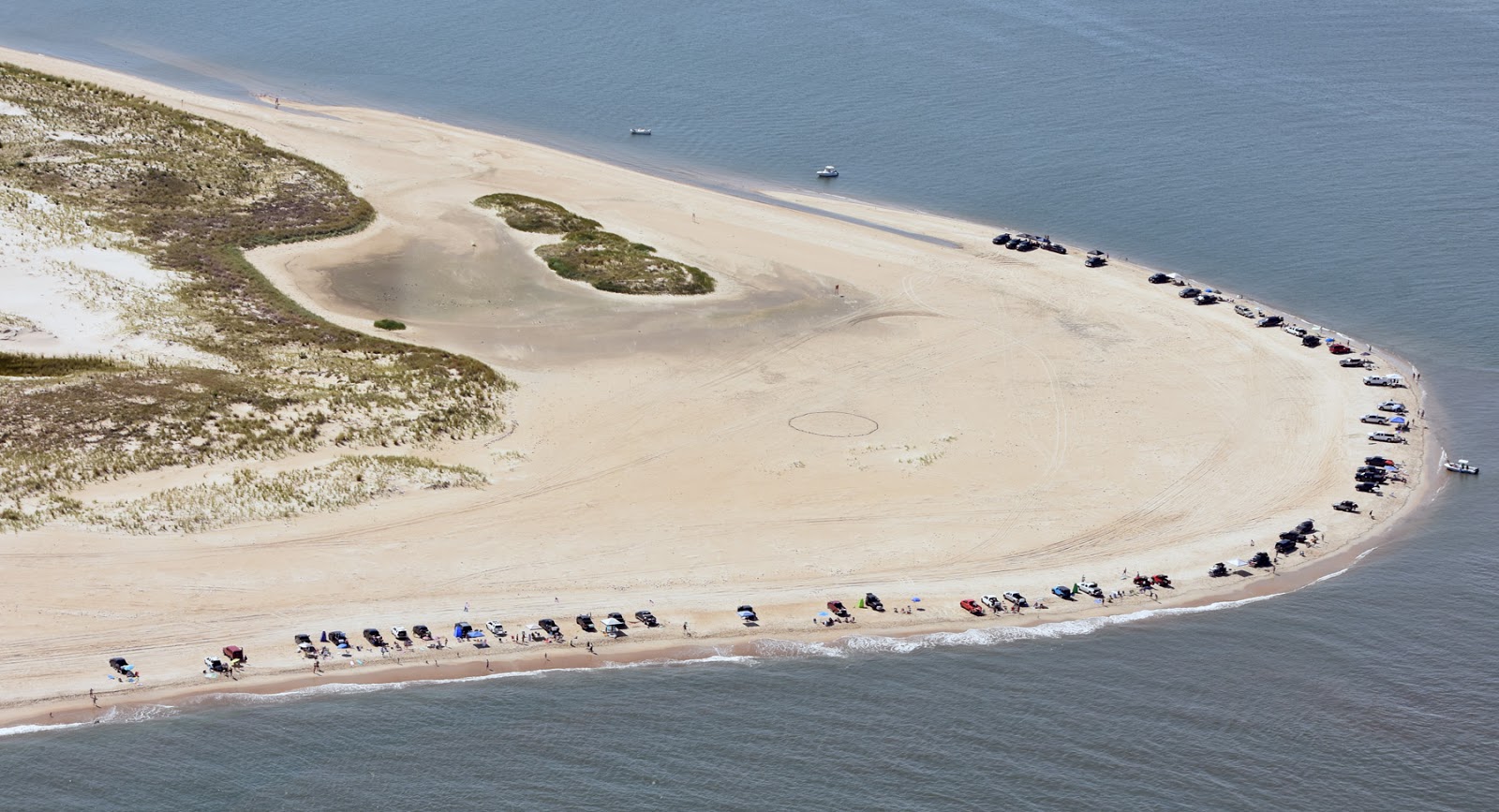 Cape Henlopen Beach的照片 具有非常干净级别的清洁度