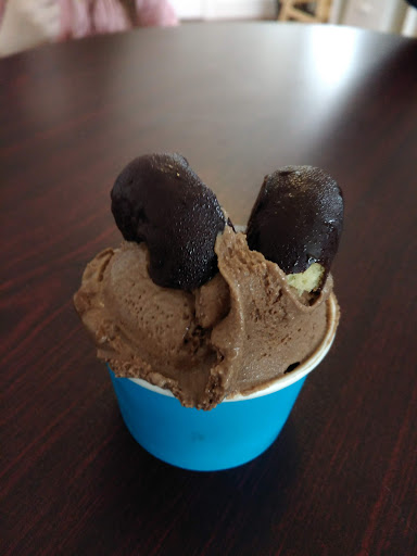 Ice Cream Shop «Pugnuts Ice Cream Shop», reviews and photos, 1276 ME-172, Surry, ME 04684, USA