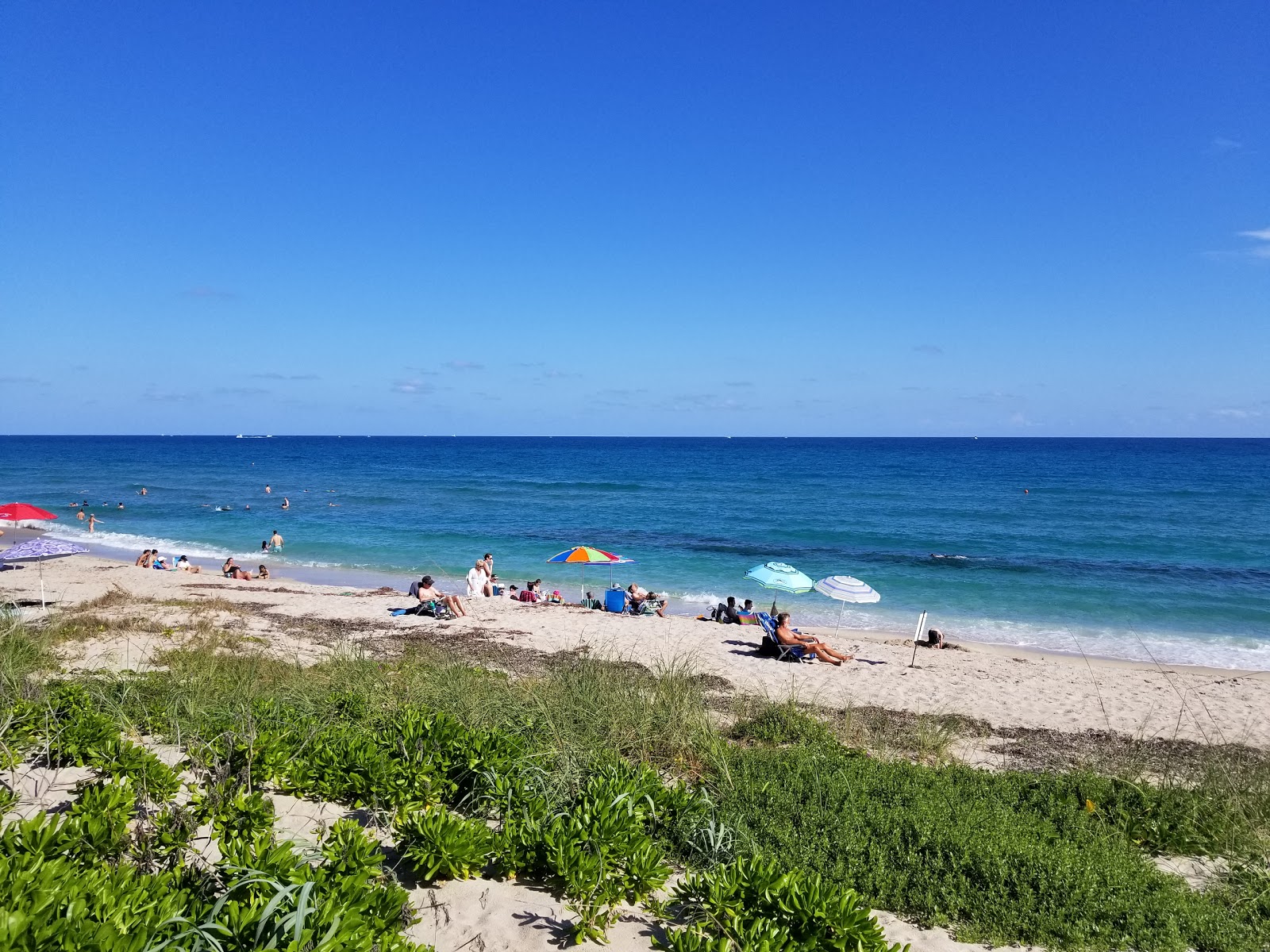 Gulfstream Park beach的照片 带有碧绿色水表面