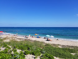 Gulfstream Park beach'in fotoğrafı düz ve uzun ile birlikte