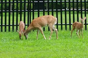 Artesian Fields County Park image