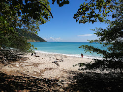 Cabo Blanco Beach'in fotoğrafı imkanlar alanı