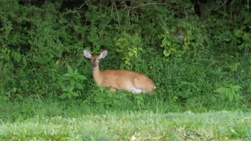 Park «Harrods Creek Park», reviews and photos, 6530 Montero Dr, Prospect, KY 40059, USA