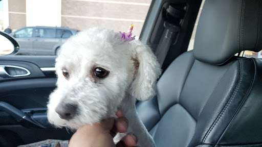 Pet Supply Store «PetSmart», reviews and photos, 2347 N Telegraph Rd, Monroe, MI 48162, USA