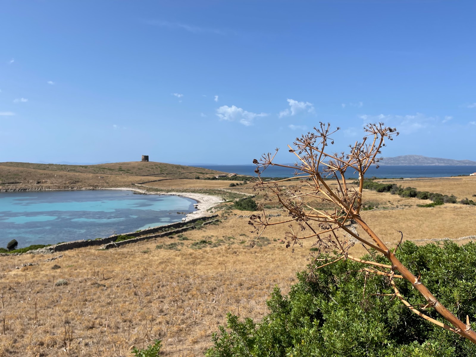 Foto von Cala Barche Napoletane Beach mit kleine, beiger kiesel Oberfläche