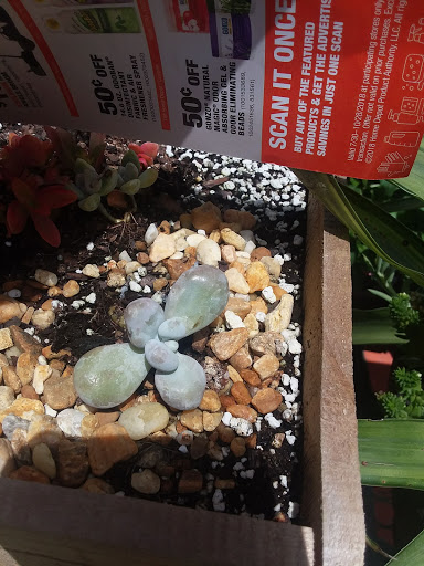 Home Improvement Store «The Home Depot», reviews and photos, 1694 W Indiantown Rd, Jupiter, FL 33458, USA