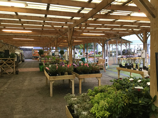 Plant shops in Manchester