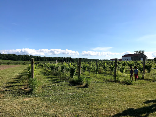 Winery «Freedom Run Winery», reviews and photos, 5138 Lower Mountain Rd, Lockport, NY 14094, USA