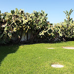 Photo n°8 de l'avis de Francesco.A fait le 27/09/2020 à 20:43 sur le  Ristorante Il Faraone à Syracuse