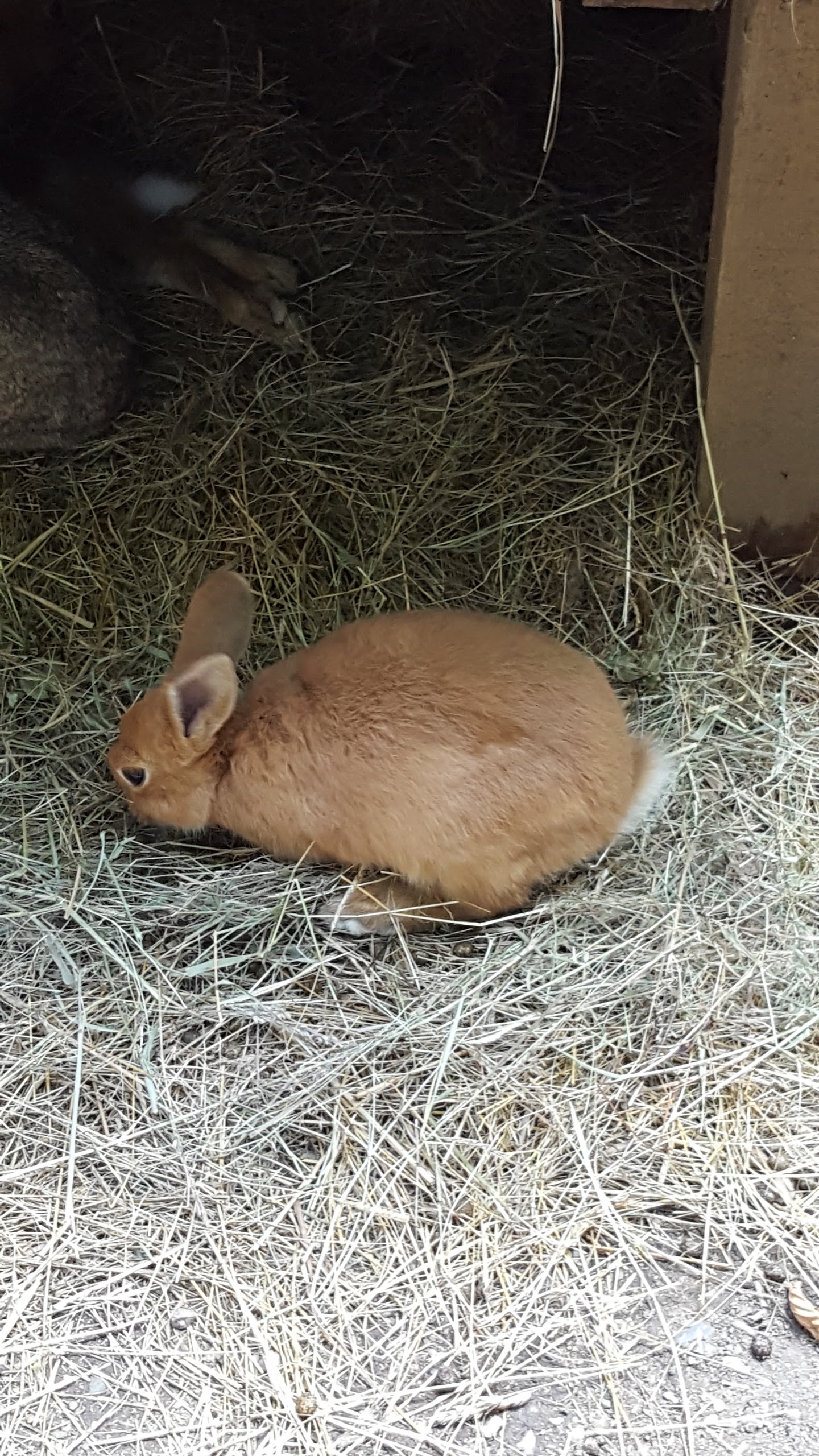 Photo n° 5 de l'avis de seb.a fait le 28/08/2017 à 16:52