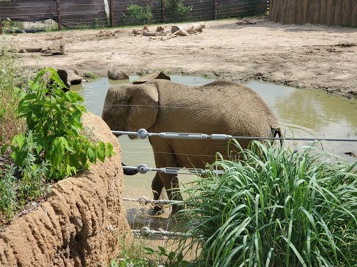 Zoo «Desert Dome & Kingdoms of the Night», reviews and photos, 3701 S 10th St, Omaha, NE 68108, USA