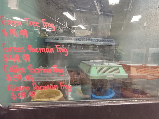 Pet Store «Creature Comforts», reviews and photos, 1250 Front St, Binghamton, NY 13901, USA