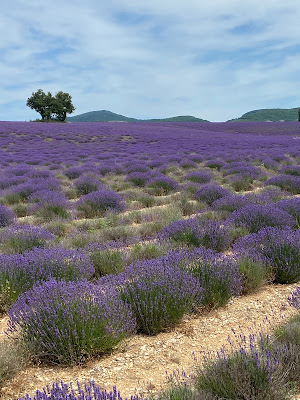 Le Vieux Redortiers à Redortiers