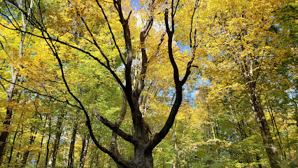 Senneville Migratory Bird Sanctuary