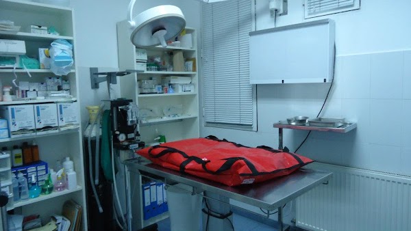 Clinica Veterinaria Paseo de la Esperanza
