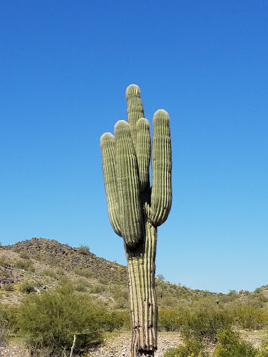 Nature Preserve «Phoenix Mountains Preserve», reviews and photos, 2701 E Squaw Peak Drive, Phoenix, AZ 85028, USA