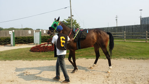 Event Venue «JACK Thistledown Racino», reviews and photos, 21501 Emery Rd, North Randall, OH 44128, USA