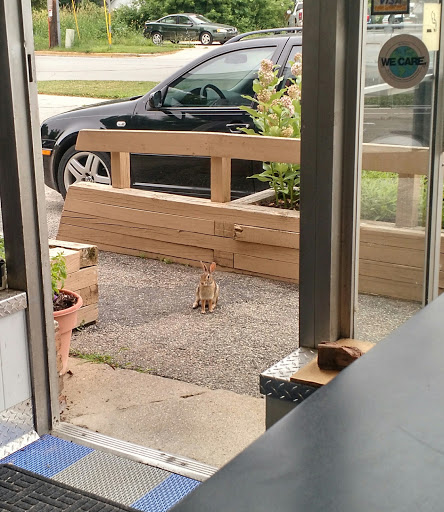 Auto Repair Shop «Courtesy Auto Service», reviews and photos, 3030 Milwaukee St, Madison, WI 53714, USA