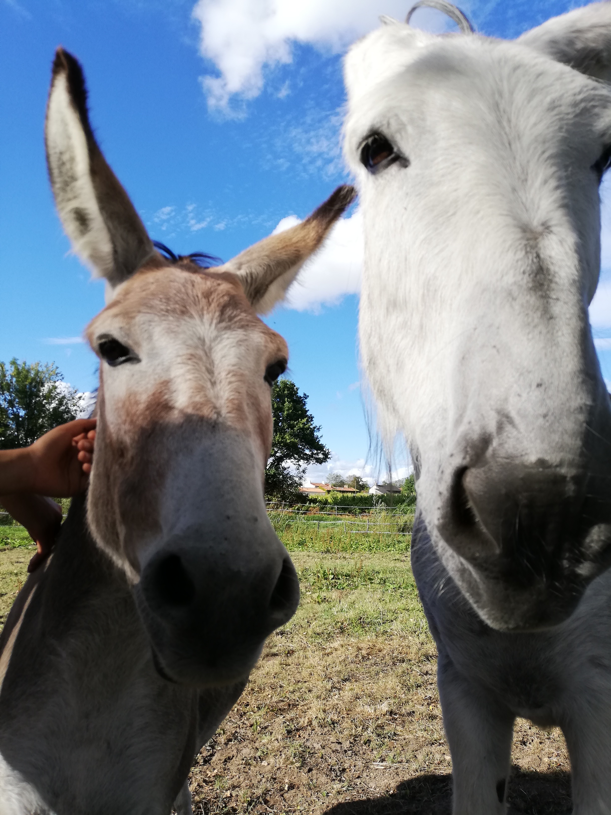 Photo n° 2 de l'avis de Manu.A fait le 19/08/2020 à 16:13