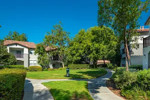 Skyview Apartments image