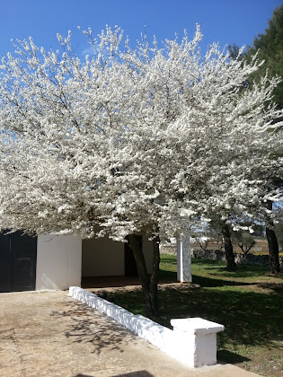 Extérieur Holiday apartment Trullo di Lilli 74015 Martina Franca