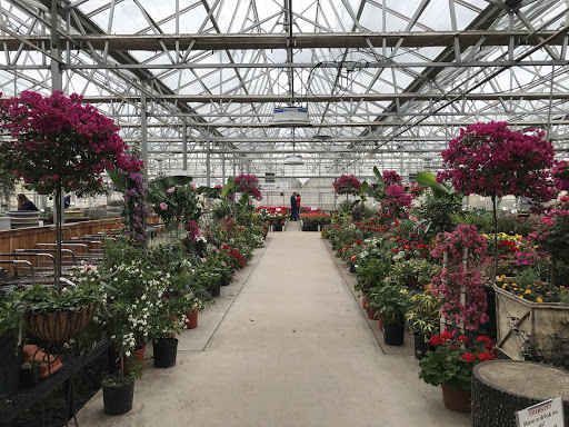 Wholesale plant nursery Wichita Falls