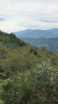 モザイク模様林相展望所