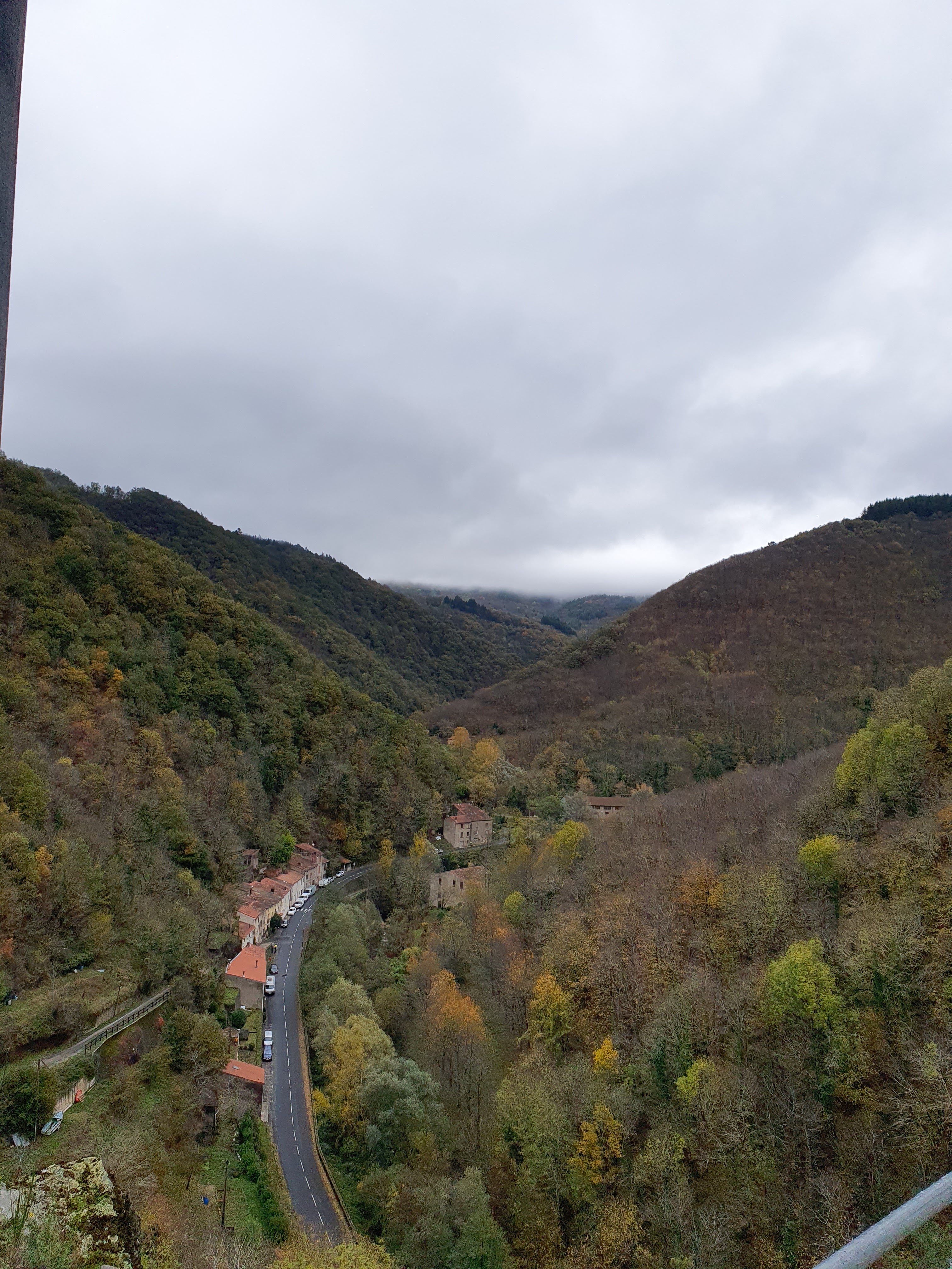 Photo n° 2 de l'avis de Magali.e fait le 21/11/2023 à 16:50