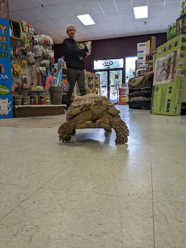 Critters & Co Pet Center& Rescue