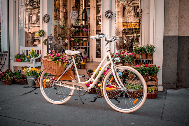 Értékelések erről a helyről: Vintagebringa, Budapest - Kerékpárbolt