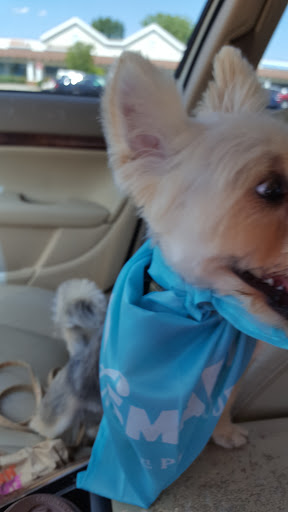 Pet Supply Store «PetSmart», reviews and photos, 351 N Frontage Rd, New London, CT 06320, USA