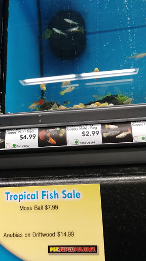 Pet Supply Store «Pet Supermarket», reviews and photos, 801 E Sunrise Blvd, Fort Lauderdale, FL 33304, USA
