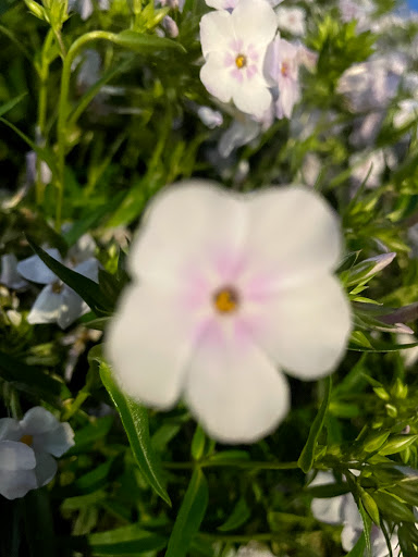 Home Improvement Store «The Home Depot», reviews and photos, 899 County St, Taunton, MA 02780, USA