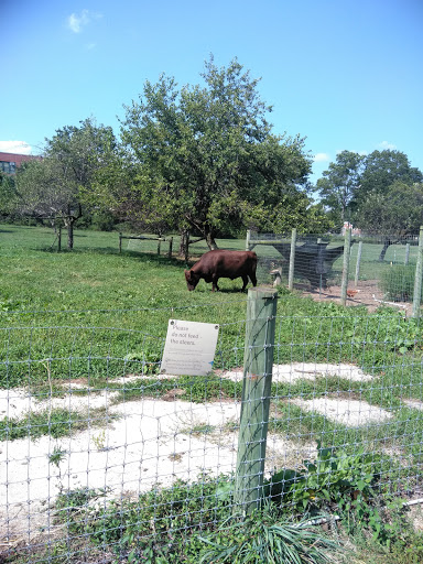 Museum «King Manor Museum», reviews and photos, 150-03 Jamaica Ave, Jamaica, NY 11432, USA