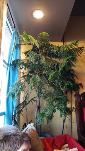 Cafe «Kool Beanz Cafe», reviews and photos, 1316 Niedringhaus Ave, Granite City, IL 62040, USA