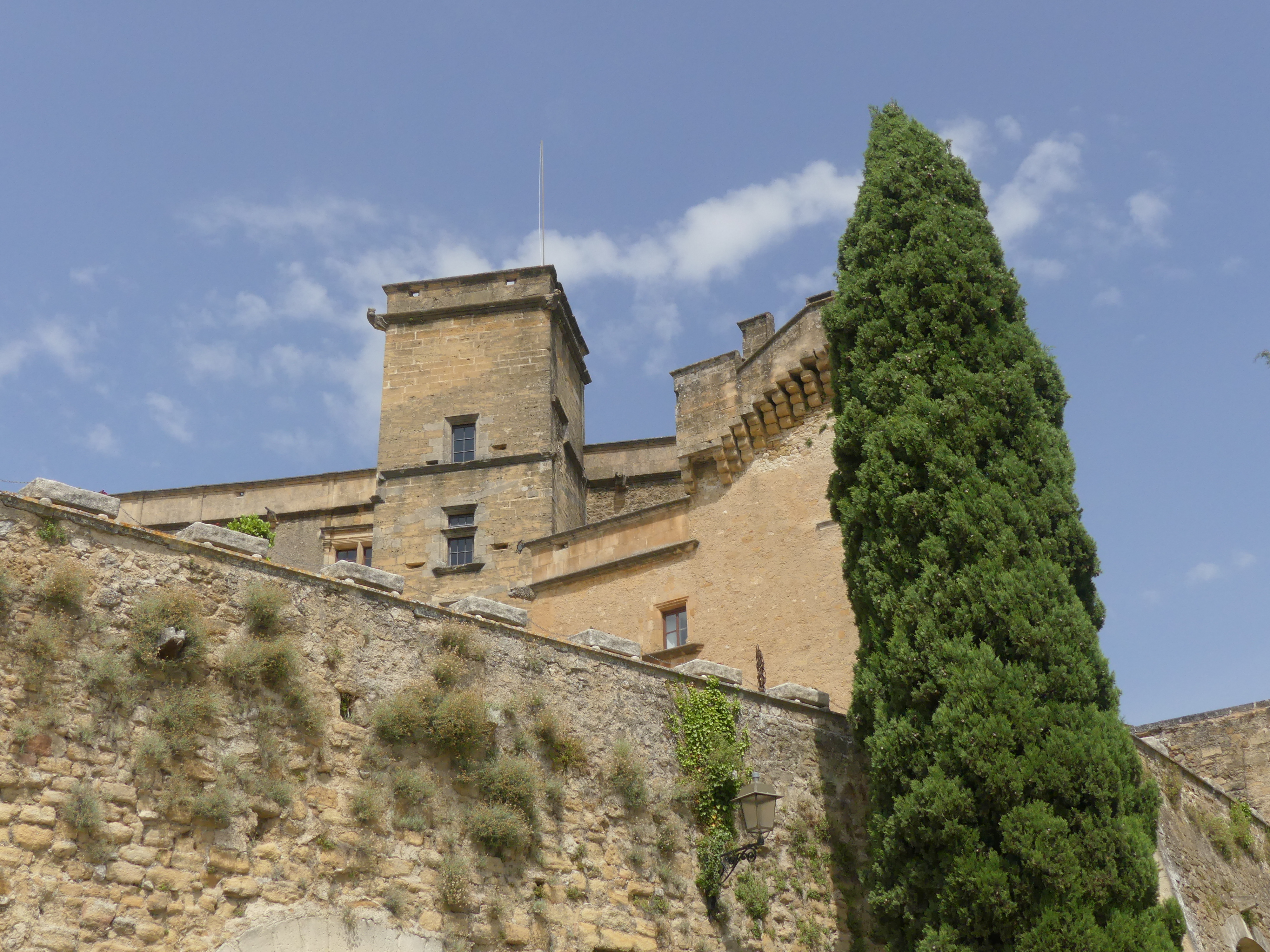 Photo n° 15 de l'avis de Patrick.a fait le 20/06/2021 à 17:10