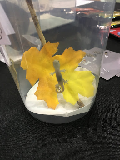 Event Venue «Rochester Main Street Armory», reviews and photos, 900 E Main St, Rochester, NY 14605, USA