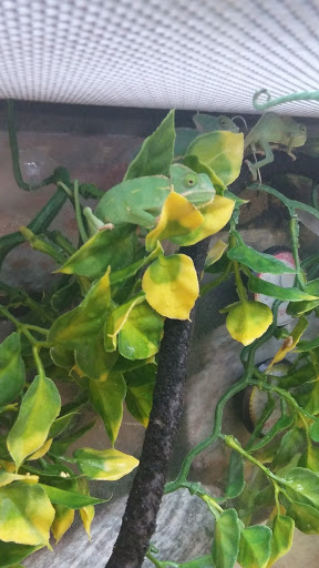 Pet Supply Store «Petco Animal Supplies», reviews and photos, 1419 Towne Square Blvd NW, Roanoke, VA 24019, USA