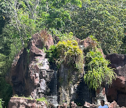 safari Bali photo
