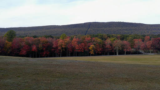 Wedding Venue «Lodge At Mountain Springs Lake», reviews and photos, 1315 Mountain Spring Dr, Reeders, PA 18352, USA