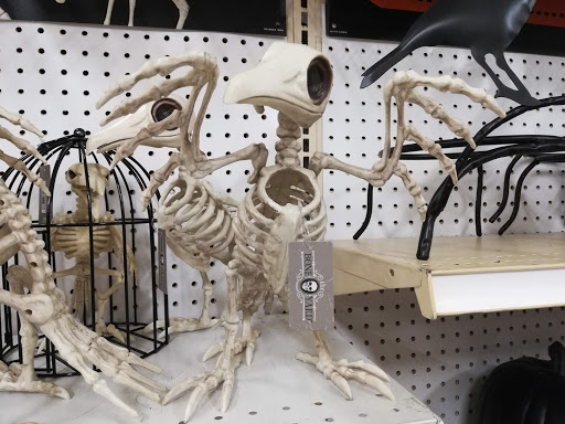 Fabric Store «Jo-Ann Fabrics and Crafts», reviews and photos, 8449 Grand River Ave, Brighton, MI 48116, USA