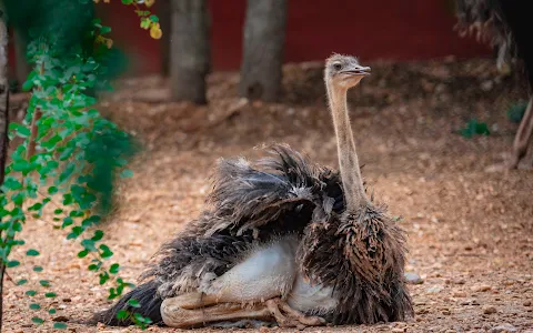 Gadag Zoo image