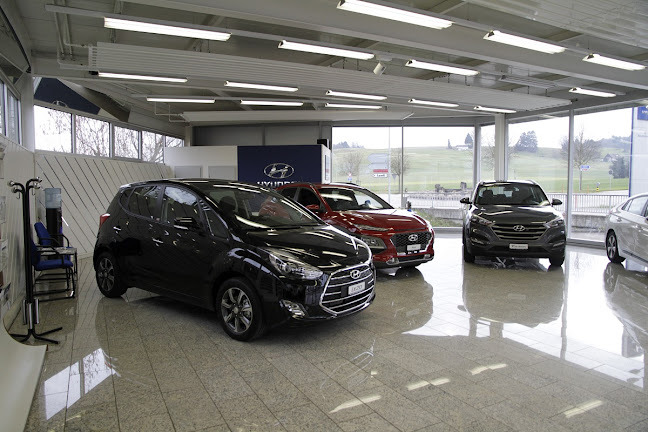 Rezensionen über Auto Bortignon AG - Citroën & Alfa Romeo in Olten - Autohändler