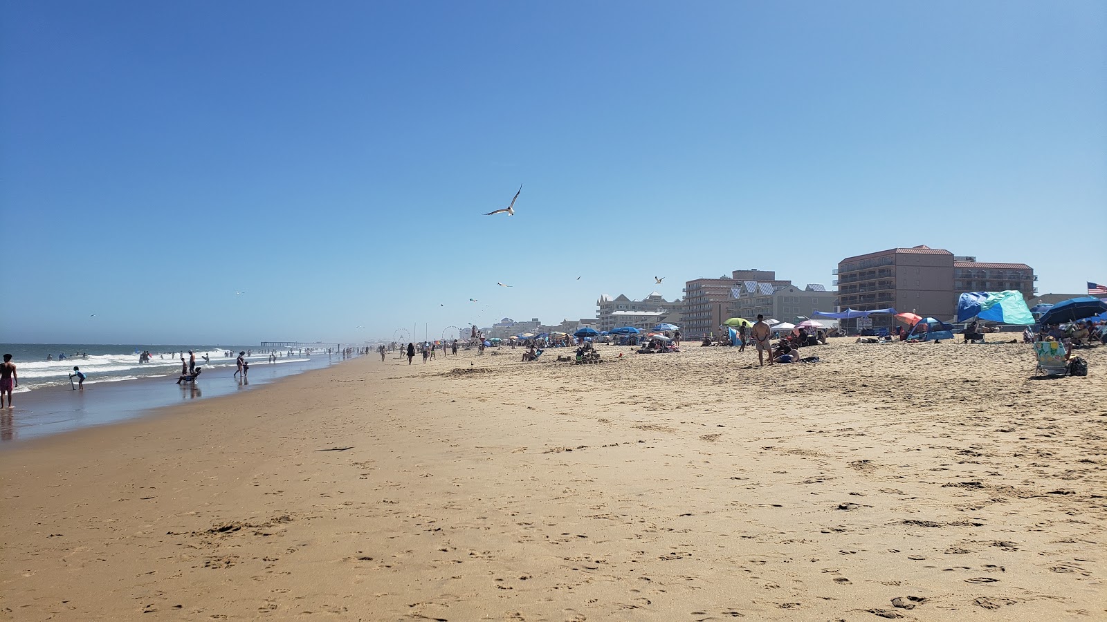 Foto van Ocean City beach - populaire plek onder ontspanningskenners