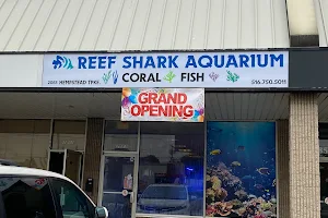 Reef Shark Aquarium Inc image