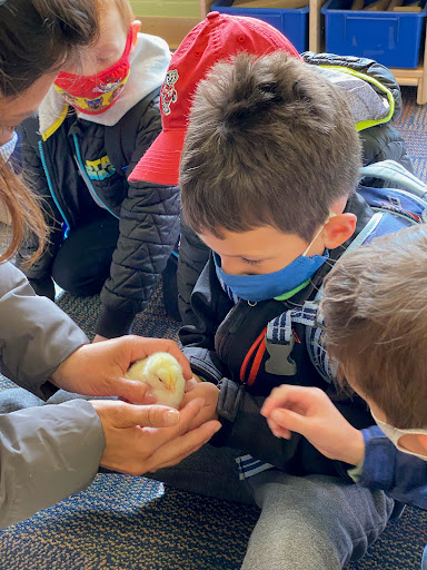 Day Care Center «Magic Memories Child Development Center», reviews and photos, 897 Valley Forge Rd, Phoenixville, PA 19460, USA