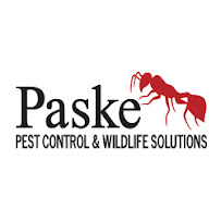 Paske Pest Control - Photo 2 - Car repair in , Cape Coral