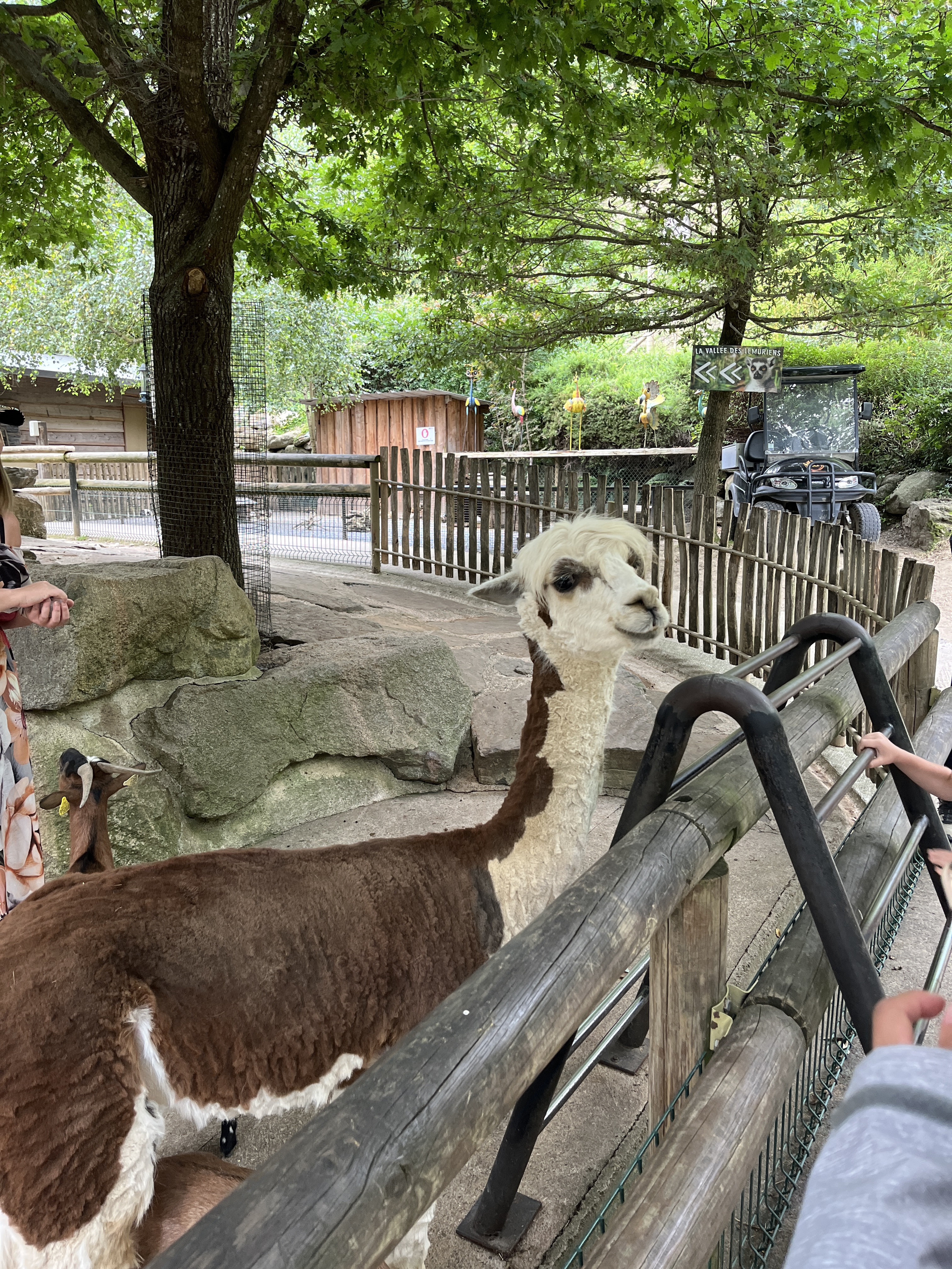 Photo n° 10 de l'avis de QIN.I fait le 16/07/2023 à 10:58