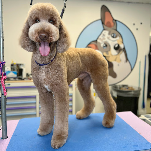 Pawsitive Transfurmations