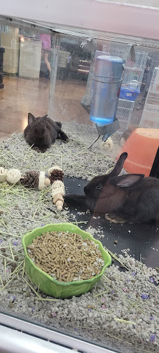 Pet Store «Pet Depot», reviews and photos, 22069 US-72 i, Athens, AL 35613, USA